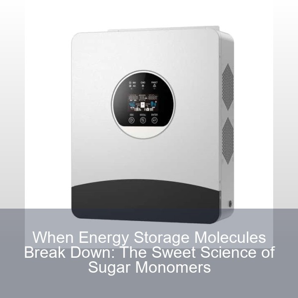 When Energy Storage Molecules Break Down: The Sweet Science of Sugar Monomers